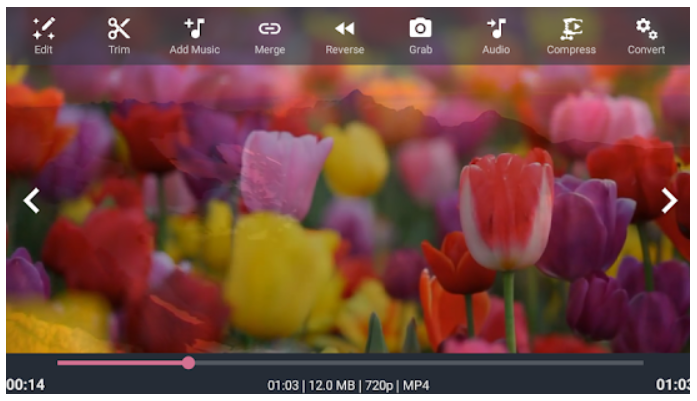 Rekomendasi Aplikasi Slow Motion TikTok Dengan Kualitas Bagus