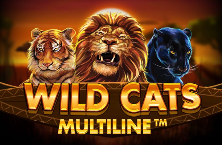 Wild Cats Multiline review